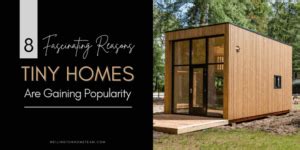 Fascinating Reasons Tiny Homes Are Gaining Popularity