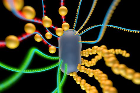 Its Alive Mit Engineers Use E Coli Bacteria To Create Self Repairing