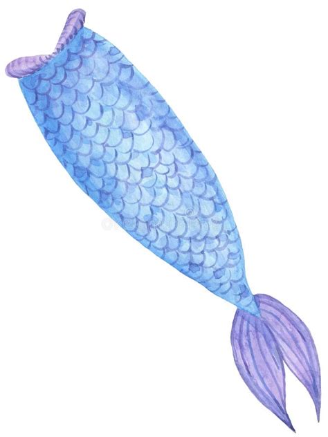 Blue Mermaid Tail Painted By Watercolor By Hand Isolated On White Background Stock Illustration