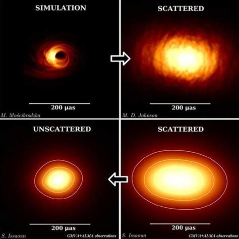 Stellar Mass And Supermassive Black Holes Institute Of