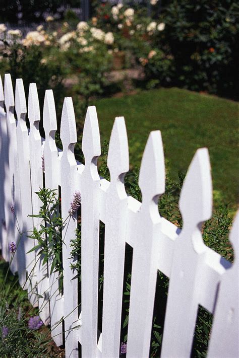 Check spelling or type a new query. Build an Easy Garden Fence: Low Cost Ideas | The Garden Glove