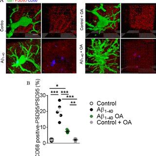 Inhibition Of Type A Ppase Attenuates The Microglial Phagocytosis Of