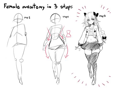 Draw Human Body Step By Step Draw Body Step Human Drawing Tutorial Hips Choose Board