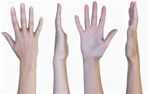 3 X Female 3d Hand Models White 204060 Years Old