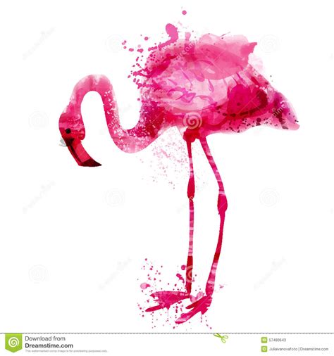 Download Vector Watercolor Pink Flamingo In Splashes Stock Vector ...