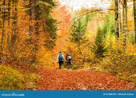 Girls Trekking In The Wood Stock Photo Image Of Extreme 61388706