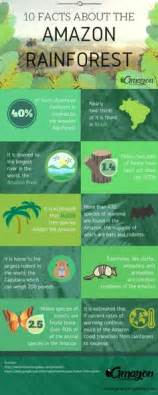 10 Amazon Rainforest Facts Ideas Rainforest Theme Rainforest