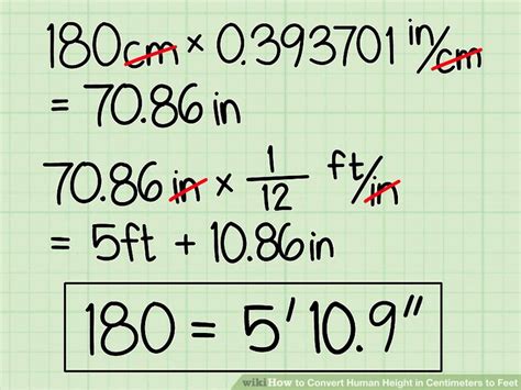 There are 12 inches (in) in a foot (ft) and 36 inches in a yard. How many feet in 180 inches. 😝 Convert inches to feet to ...