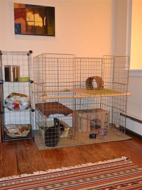 6'x2', but they need additional space for exercise. How to build a bunny condo | Bunny cages