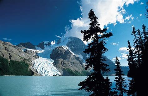 Berg Lake And Berg Glacier On Mount Robson In Mount Robson Provincial
