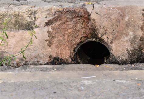 Check spelling or type a new query. How Much Does It Cost To Put In A French Drain? - Ashworth ...