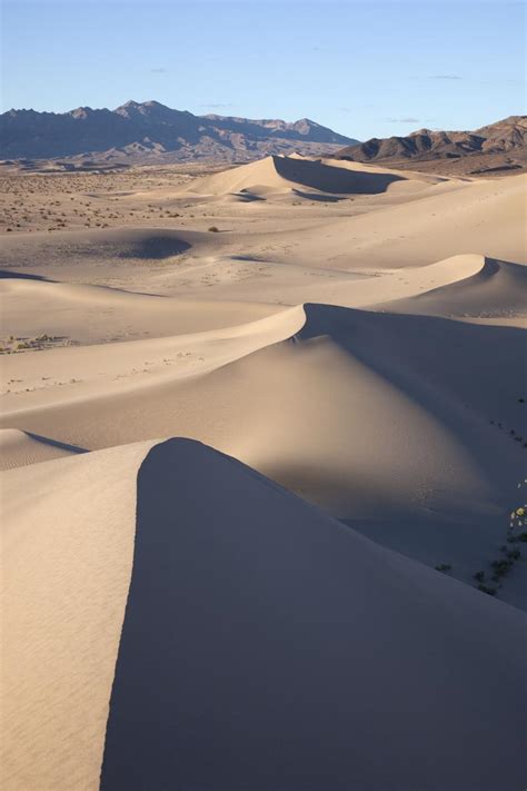 Sand Dunes, Mojave Desert (vertical). - Geology Pics