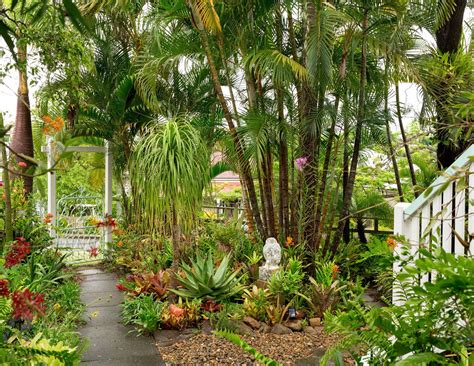 A Tropical Brisbane Garden Wonderland The Planthunter Tropical