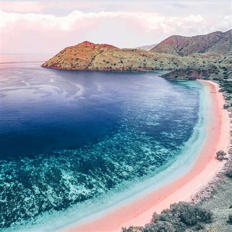 Pink Beach Komodo National Park Flores Island Indonesia Komodo