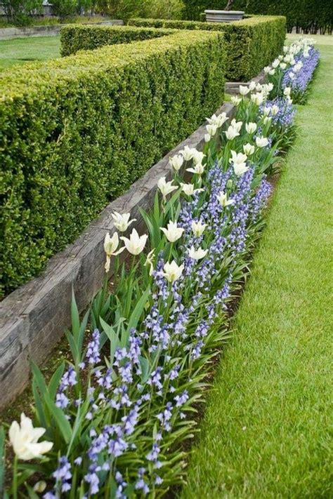 O Et Comment Planter Des Tulipes Id Es Pour Un Parterre Magique