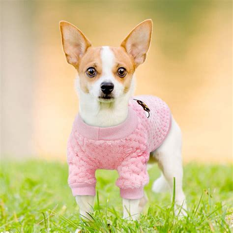 Small Dog Knitted Sweater Cute Chihuahua Embroidery Pet Cat Puppy Soft