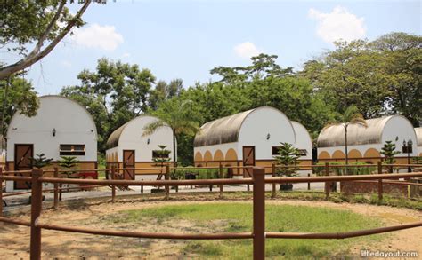 Located at new punggol road road in the punggol district. Round Up By the Sea at Punggol Settlement - Little Day Out
