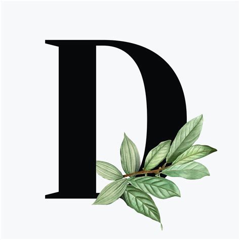 Botanical Capital Letter D Font Design Free Image By