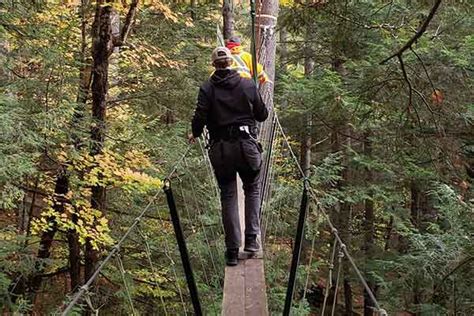 The canopy tour itself, among the treetops. Canopy Tours | ToDoOntario