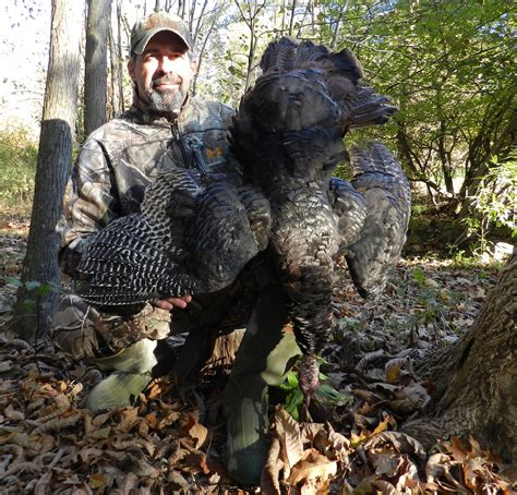 Steve Hickoff Video Maine Fall Turkey Hunting