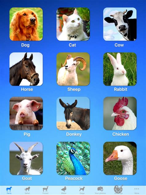 Zoola Animals Lite On The App Store