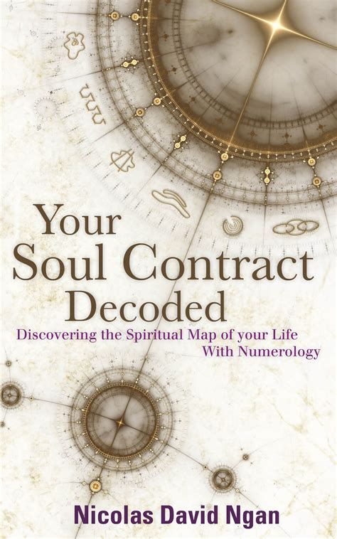 Your Soul Contract Decoded By Nicholas David Penguin Books Australia