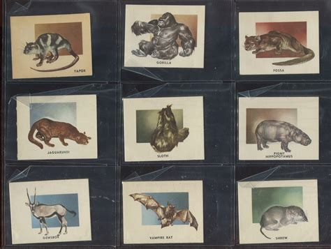 Lot Detail 1951 Topps Animals Of The World Complete Set Of 100 Cards