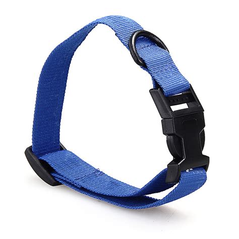 Do any flea collars actually work? Best Flea Collar for Dogs: Stop The Scratching! | HerePup!