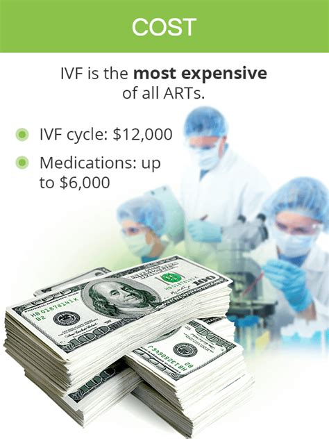 In Vitro Fertilization Ivf Shecares