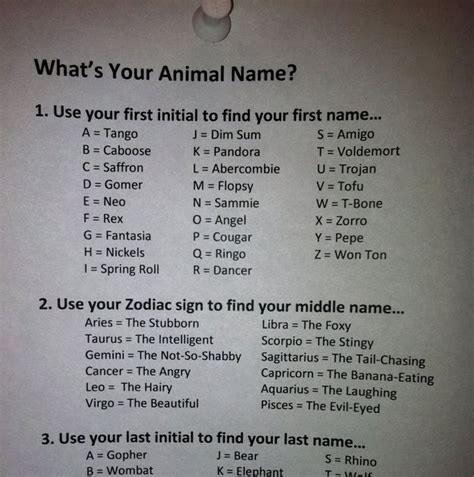 Whats Your Animal Name