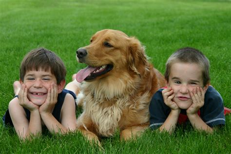 Bonding Of Kids With Their Dogs