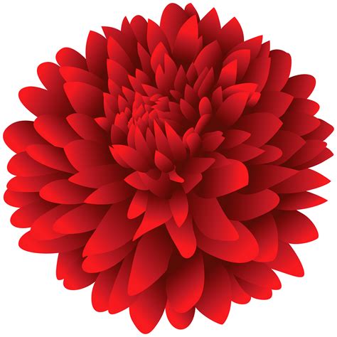 Including transparent png clip art, cartoon, icon, logo, silhouette, watercolors, outlines, etc. Red Dahlia Flower PNG Clipart | Gallery Yopriceville ...