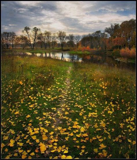 The Breath Of Autumn By Aleksandr Kitsenko Beauty Will Save Nature