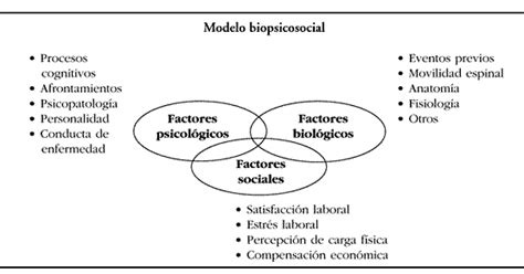 NyLeVe Modelo De Salud Biopsicosocial