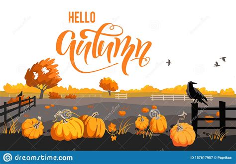 Fall Countryside Scenery Stock Vector Illustration Of Healthy 157617957