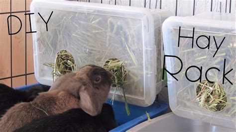 Diy Hay Rack Quails No Hole In Cage Required Bunnyrabbit Com Bunny