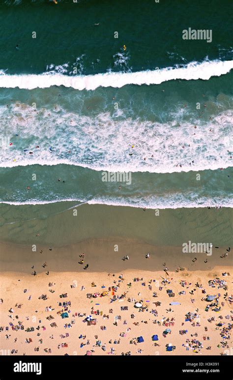 Swimmers And Sunbathers On Bondi Beach Stock Photo Alamy