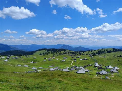 Velika Planina Ochutnejte Slovinsko Birdiescz