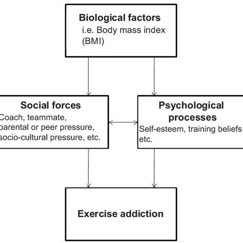 The Biopsychosocial Model For Exercise Addiction In Elite Athletes My XXX Hot Girl