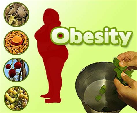 Obesity should not be a disease. Herbal Help for Tackling Obesity - Health Jockey