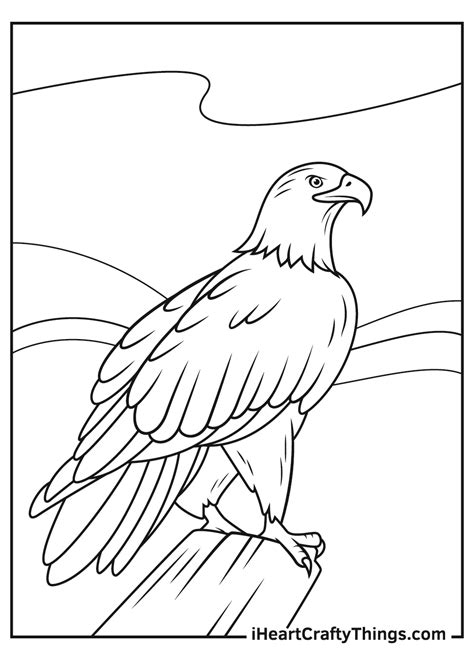 Bald Eagle Coloring Pages Updated 2021