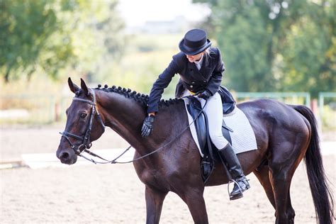 Improve Your Dressage Scores With These 5 Tips