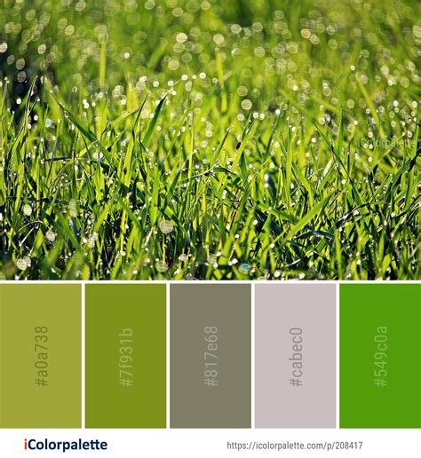 The Color Scheme For Green Grass With Drops Of Water On It