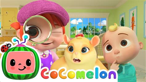Lost Hamster Cocomelon Nursery Rhymes Youtube
