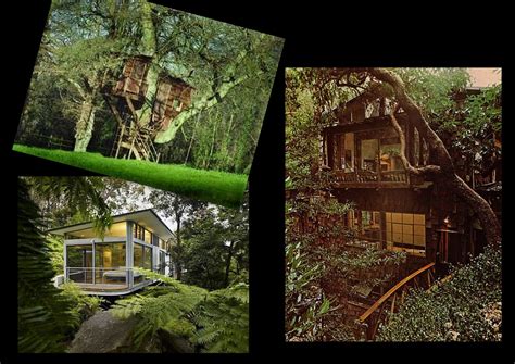 Creating A Unique Home Treehouses