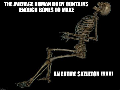 Skeleton Meme Generator Solutionlopi