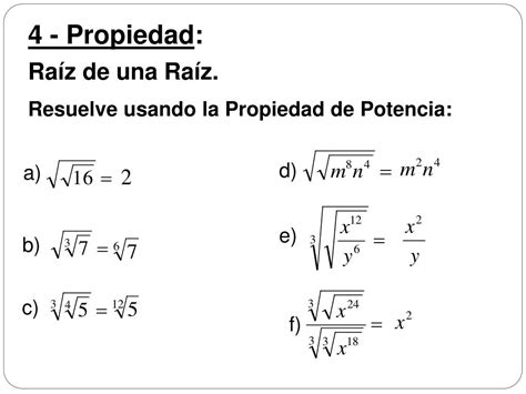 Ppt RaÍces Powerpoint Presentation Free Download Id4762618