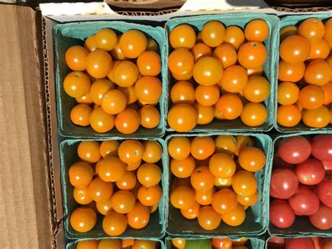 Sun Gold Cherry Tomatoes Market Wagon Online Farmers Markets