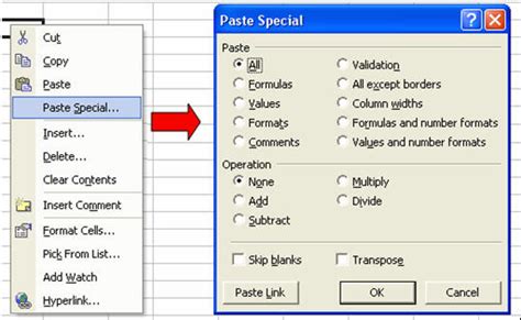 Paste Special Options In Microsoft Excel Office Articles