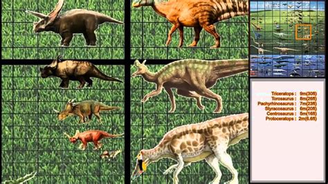 Animals And Dinosaurs Size Comparison Youtube